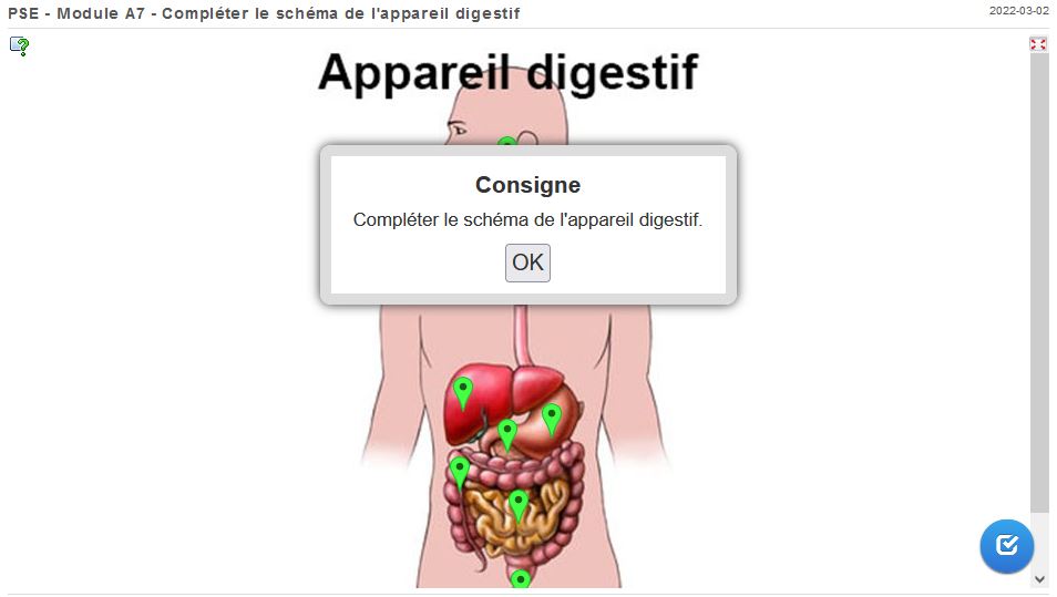 Compléter le schéma de l'appareil digestif